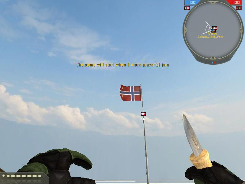 Norwegisches Jagdmesser