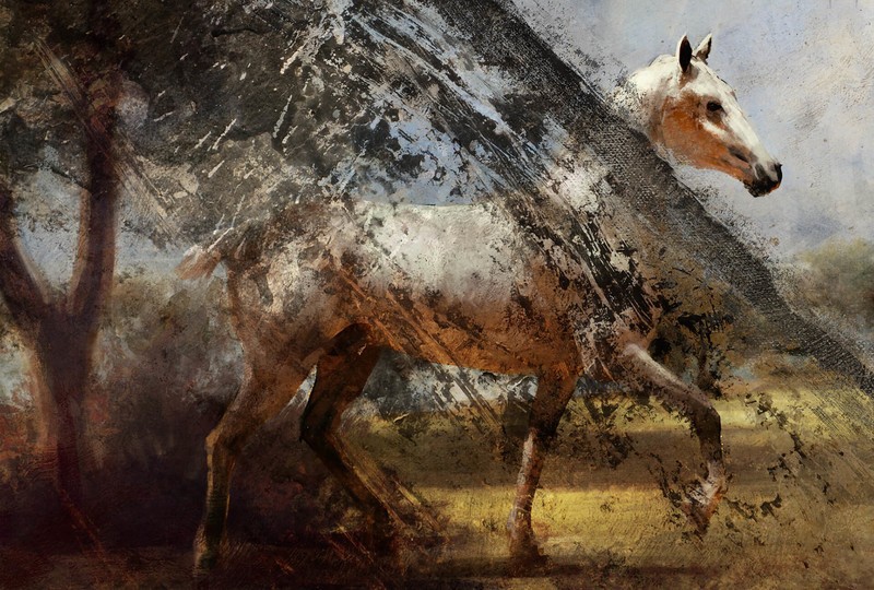 Gemälde eines Pferdes gefunden auf Fort Vaux (Bf1)