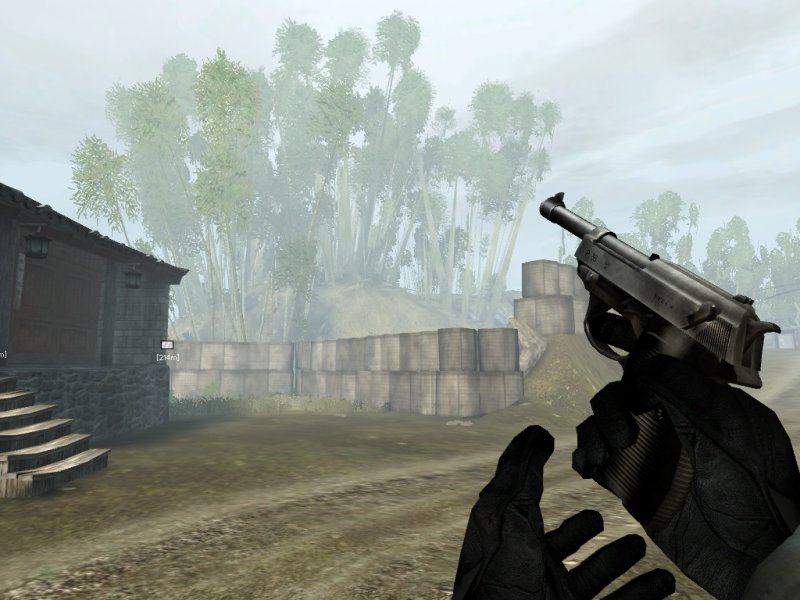 Walther P38 (Ingame)