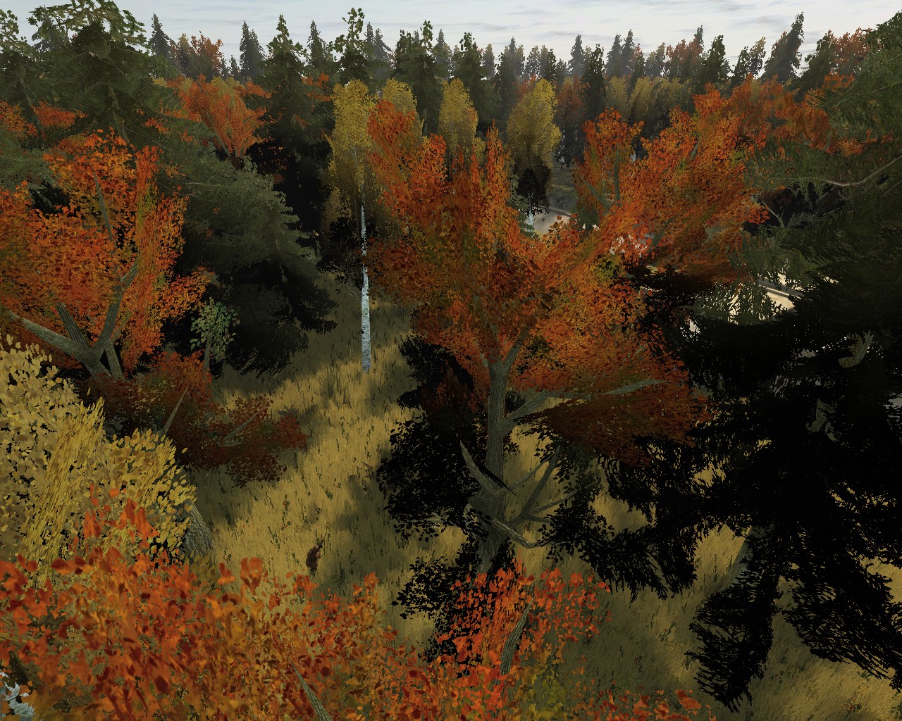 Ladder Alpha - BF-Games.net