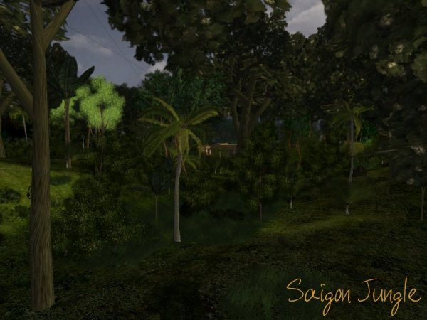 Saigon Jungle