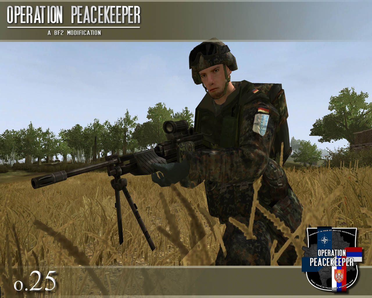 Operation Peacekeeper MG4 Ingame