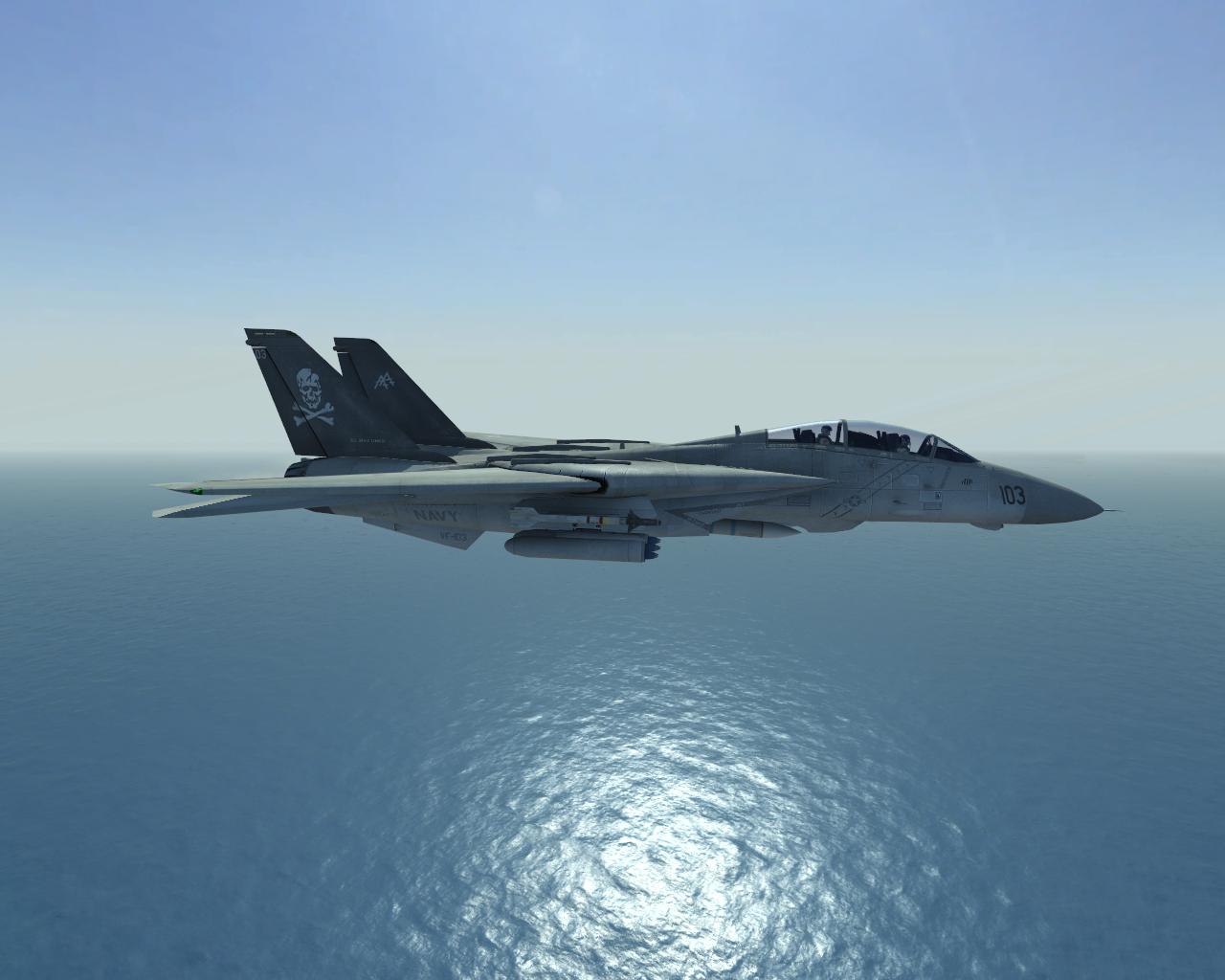 F-14 Tomcat (Screen von R3pcom)