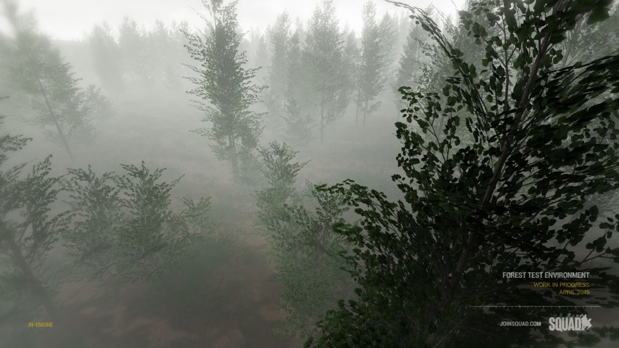 Wald-Test-Umgebung
